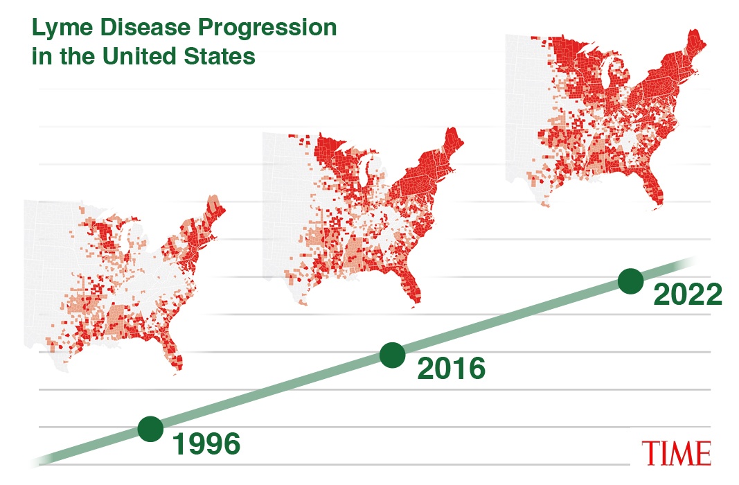 Lyme disease progression